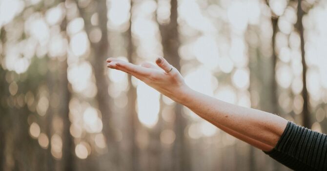 Debunking Myths About Testosterone Therapy: Separating Fact from Fiction image