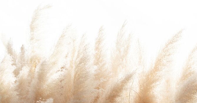 We Are Your Local Hormone Specialists in Russellville, AR image